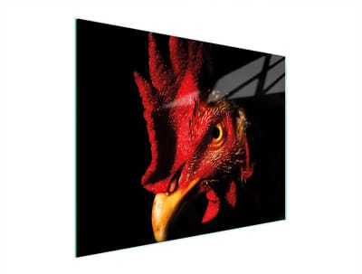 TMK ArtDeko - Snijplank - Glas - 52x40 cm - Kogut Motief