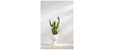 Iittala Nappula Bloempot - 26 x 15,5 cm - wit