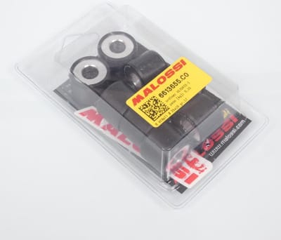 malossi variatorrol voor scooter gilera 800 gp 2008 tot 2013 25x19 17grs / 6613655.c0 nieuw