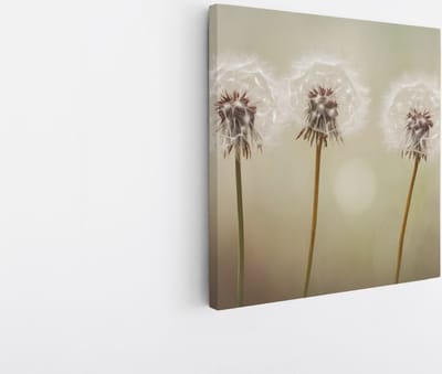 Saammp Canvas Schilderij - 4 Paardebloemen - Abstract - 20x20 - Foto op canvas - Wanddecoratie - Muurdecoratie Woonkamer - Kantoor Decoratie