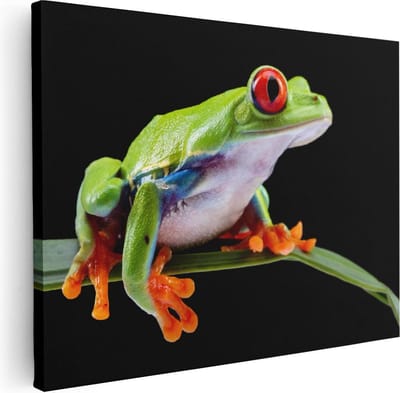 Artaza Canvas Schilderij Dieren - 40x30 cm - Klein - Wanddecoratie Kikker - Muurdecoratie Jungle - Kamer Accessoires