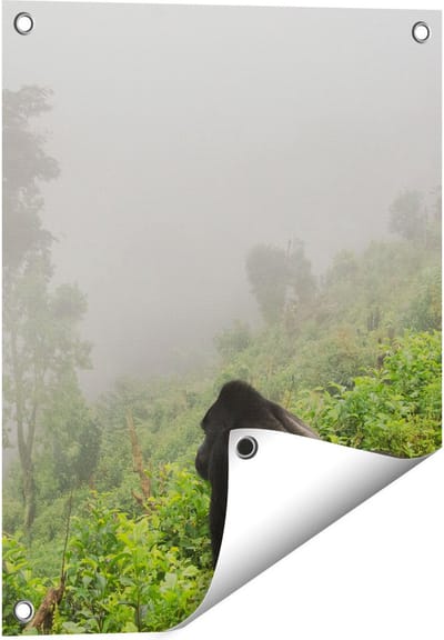Gards Tuinposter Gorilla in het Woud tijdens de Mist - 40x50 cm - Tuindoek - Tuindecoratie - Wanddecoratie buiten - Tuinschilderij