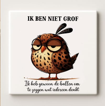 Grappige Quote Decoratieve Keramische Tegel 15x15 cm – “Ik ben niet grof, ik heb gewoon de ballen om te zeggen wat iedereen denkt” Uil Wanddecoratie