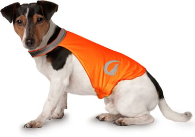 Nightwalk Safety Vest - Ruglengte 25 cm - Veiligheidsvest hond - Hondenvest - Veiligheidshesje Hond - Fluo Hond - Reflecterend veiligheidshesje - Maat S - Oranje