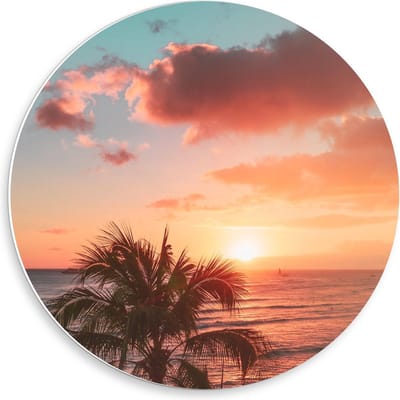 Forex Wandcirkel - Palmboom bij Zonsondergang - 50x50cm Foto op Wandcirkel (met ophangsysteem)