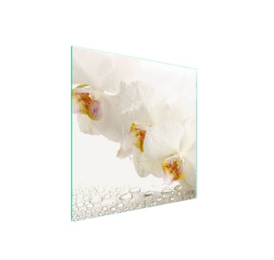 TMK ArtDeko Serie - Glazen Beschermplaat - 50x52 cm - Orchidee