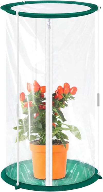 Mini Plantenkas - Kweekkas Tuin - Planten Beschermen - Verdikt Frame - 26x50cm - Transparant