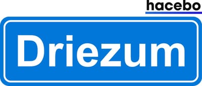 Hacebo - Plaatsnaam Sticker - 29x10 CM - Driezum sticker - Verkeersborden sticker - grappige cadeaus - Driezum