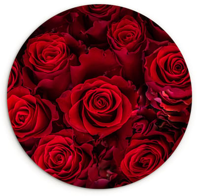 WallCircle® Wandcirkel 30x30 cm - Muurcirkel Bloemen - Rozen - Rood - Muurdecoratie woonkamer - Wanddecoratie slaapkamer - Kamer decoratie accessoires - Ronde schilderijen