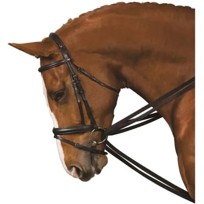 Teugels voor paarden Kincade Web Draw