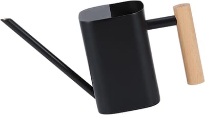 Metalen Gieter - Plantenwaterkan - Planten Verzorgen - Lange Nauwkeurige Tuit - 500 ml - Zwart