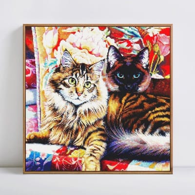 5D diamant schilderij dier kat volledige ronde borduurwerk verkoop diamant 30x30 black