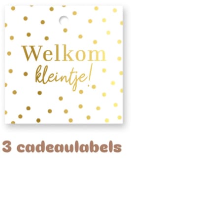 3x Cadeaulabel Welkom kleintje - geboorte - naamkaartje - cadeautag - hangtag - cadeauhanger - leuk inpakken - naamlabel - cadeauversiering -