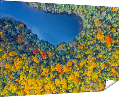 Gards Tuinposter Kleurrijke Bos met Bomen naast een Meer - 180x120 cm - Tuindoek - Tuindecoratie - Wanddecoratie buiten - Tuinschilderij