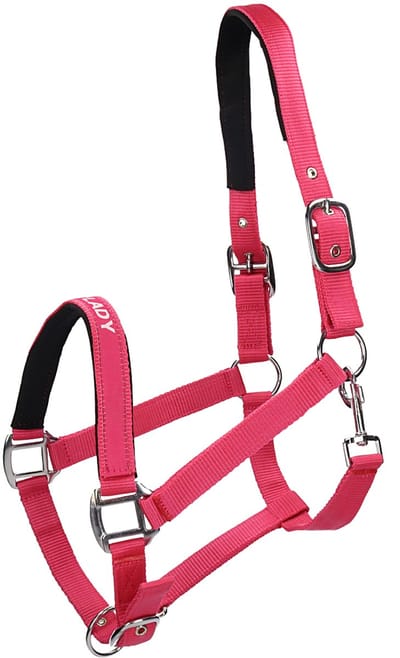 Hb Halster met tekst Iron Lady - Pink - full