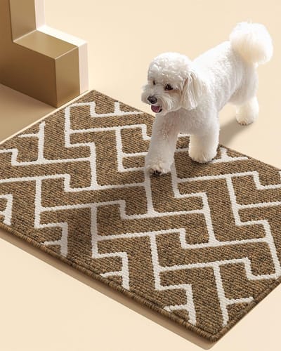Famanu Binnendeurmatten, 50 x 80 cm deurmat antislip achterkant, vuilvangmat absorberende antislip deurmat voor ingang, binnen, keuken, achterdeur, huisdieren en tuin - bruin