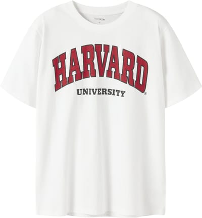 NAME IT - TAFTOMNI COLLEGE REG SS TOP BOX NOOS SKY - Dames - T-shirts