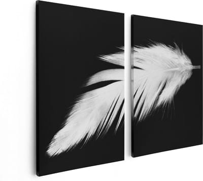 Artaza Canvas Schilderij Tweeluik Witte Veer op een Zwarte Achtergrond - 80x60 - Foto Op Canvas - Canvas Print