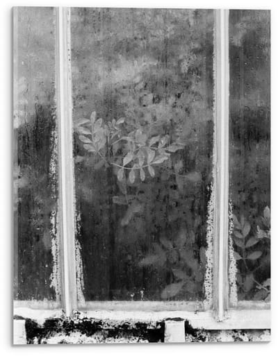 Acrylglas - Raam met Planten erachter in Zwart Wit - 30x40cm Foto op Acrylglas (Wanddecoratie op Acrylglas)