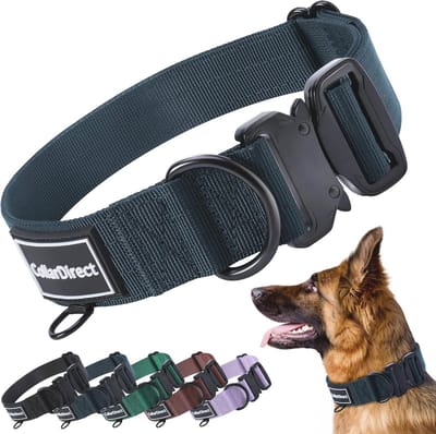 Premium Heavy Duty Nylon Halsband voor Honden - Verstelbaar en Duurzaam in 5 Kleuren