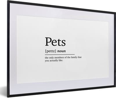 Fotolijst incl. Poster - Quotes - Pets - Huisdieren definitie - Woordenboek - Spreuken - 60x40 cm - Posterlijst