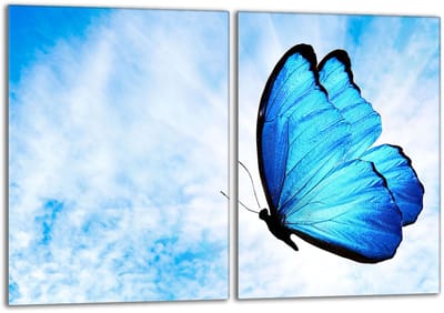 TMK ArtDeko - Glazen Beschermplaat - Motief Motyl - Voor Alle Soorten Kookplaten - 40x52 cm