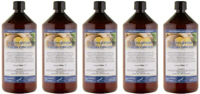 Bodylotion Fresh Ginger 1 Liter - set van 5 stuks - Voordeelverpakking