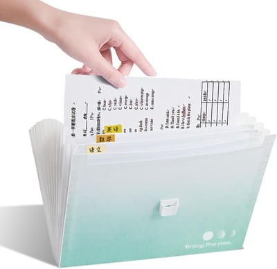 Dailygoods - Grote A4-map, draagbare documententas, sorteermap A4, 13 vakken voor eenvoudig sorteren