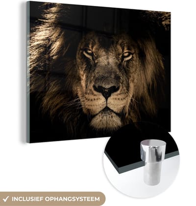 Glasschilderij leeuw - Dieren schilderij - Portret - Zwart - Schilderijen woonkamer - Foto op glas - Glasplaat - Kamer decoratie - 160x120 cm - Wanddecoratie - Muurdecoratie - Slaapkamer