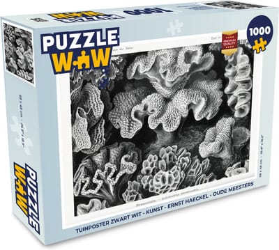 Puzzel Kunst - Koraal - Ernst Haeckel - Oude meesters - Natuur - Legpuzzel - Puzzel 1000 stukjes volwassenen
