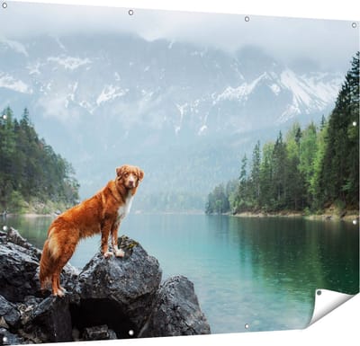 Gards Tuinposter Retriever Hond bij het Water in de Bergen - 150x120 cm - Tuindoek - Tuindecoratie - Wanddecoratie buiten - Tuinschilderij