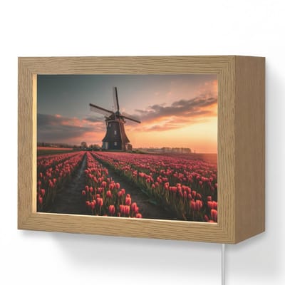 Wandlamp 20x15 cm - Oplaadbaar - Molen - Zonsondergang - Tulpen - Rood - Wandlampen binnen woonkamer - Slaapkamer lamp met kabel - Decoratieve nachtlamp - Vloerlamp snoer