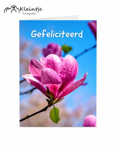 Verjaardag bloem – Roze magnolia in bloei | Kleintje Fotografie