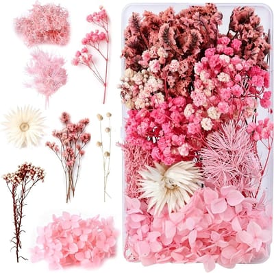 Set gedroogde bloemen voor creatieve DIY-projecten, scrapbooking, wenskaarten, nagelkunst en sieraden maken