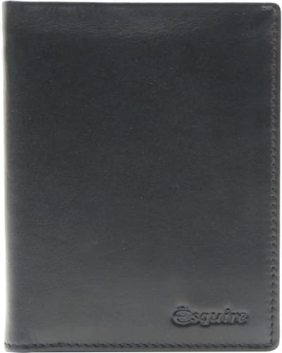 Esquire Identiteitskaarthoesje New Silk Passport Card Holder Black Zwart