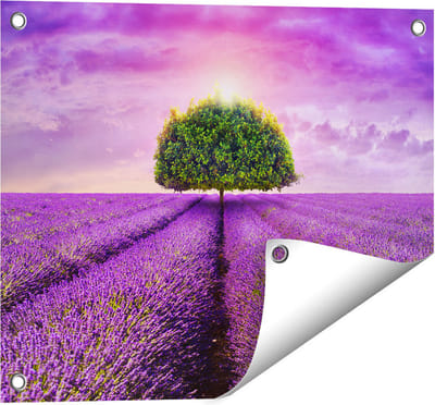 Gards Tuinposter Groene Boom in de Lavendel Bloemen - 50x40 cm - Tuindoek - Tuindecoratie - Wanddecoratie buiten - Tuinschilderij