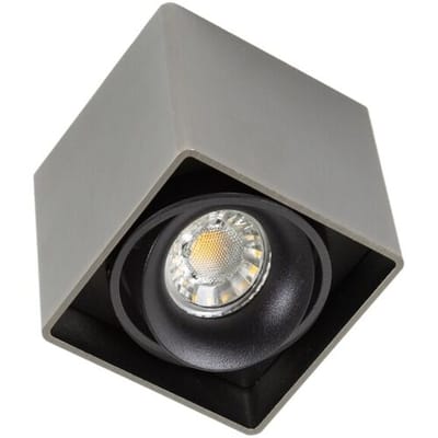 KS Verlichting Bjorn 1 Opbouwspot Gun Metal