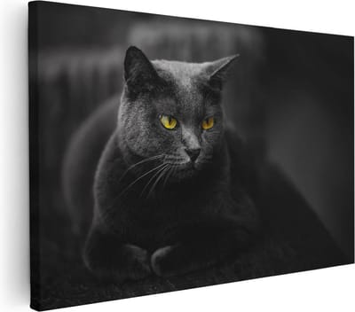 Artaza Canvas Schilderij Kat - 30x20 cm - Klein - Wanddecoratie Dierenkop - Muurdecoratie Woonkamer - Kamer Accessoires