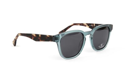 Bulget Sunglasses BGY9003 T02P 50