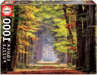 Legpuzzel 1000 delen - Puzzel volwassenen - Ontspanning thuis - Gerecycled karton - 68 x 48 cm - Diverse