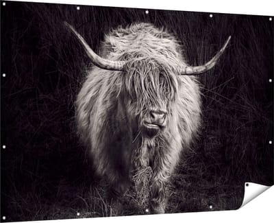 Gards Tuinposter Schotse Hooglander Koe - Zwart Wit - 180x120 cm - Tuindoek - Tuindecoratie - Wanddecoratie buiten - Tuinschilderij