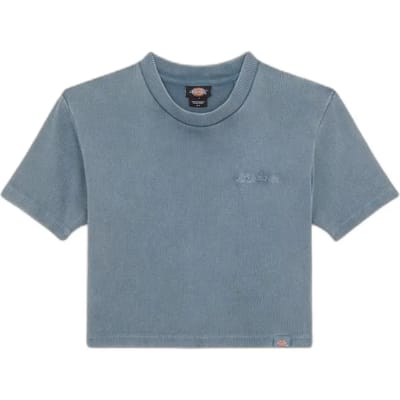 Dickies Plentywood T-shirt Met Korte Mouwen Grijs L Vrouw