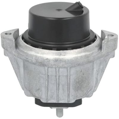 Motorsteun REINHOCH RH11-3173