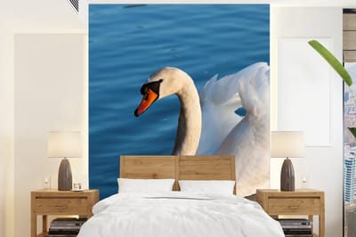 Behang - Fotobehang Zwaan - Water - Vogel - Wit - Breedte 205 cm x hoogte 280 cm