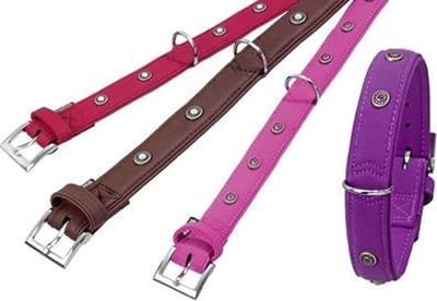Karlie buffalo deco halsband voor hond met ornament lila 30 mmx55 cm