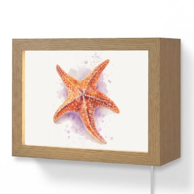 Wandlamp 20x15 cm - Oplaadbaar - Zeester - Oranje - Paars - Wandlampen binnen woonkamer - Slaapkamer lamp met kabel - Decoratieve nachtlamp - Vloerlamp snoer