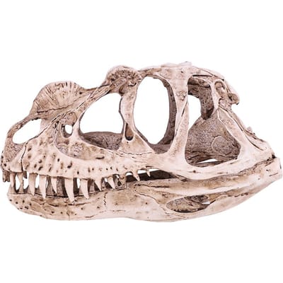 Hars Dinosaurus Schedel Model Gesimuleerd Dierlijk Skelet Huis Kantoor Decoratie Ambacht Onderwijs Requisiet beige