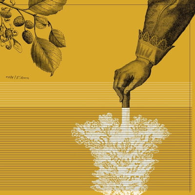 Tape - Rideau (LP) (Limited Edition) (Remastered)