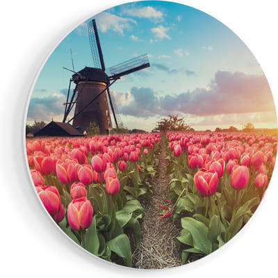 Artaza Forex Muurcirkel Roze Tulpen Bloemenveld - Met Windmolen - 70x70 cm - Wandcirkel - Rond Schilderij - Wanddecoratie Cirkel - Muurdecoratie