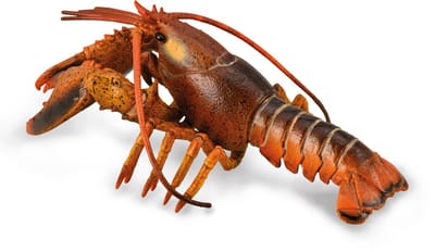 COLLECTA Figurine - Kreeft Deluxe - Zeedieren - Handgeschilderd - Miniatuur